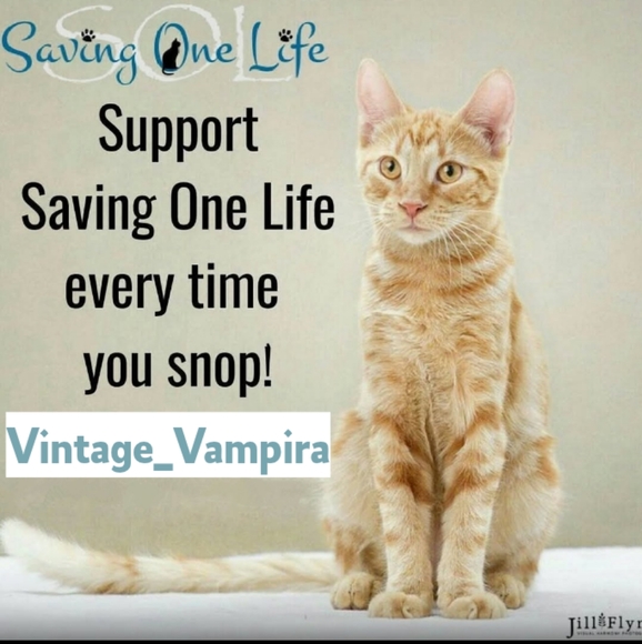 Meet your Posher, Adrienne - Picture 2 of 16